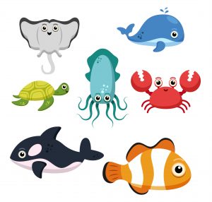 Vocabulary : Sea creatures