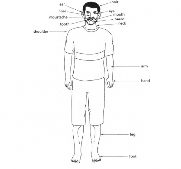 Describing People - The Speaking Cats - Online Language School